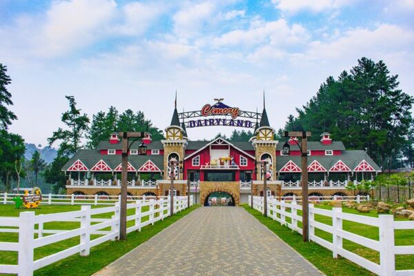 Cimory Dairyland