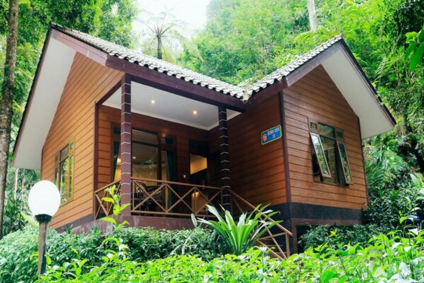 Hotel Safari Resort